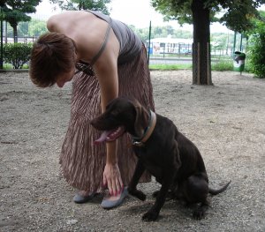 Berlinre rászólnak