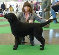 Edit Mályi, akinél születtem