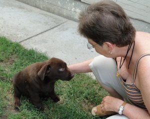 Dr. Drazsé és dr. Sándor Zsuzsa