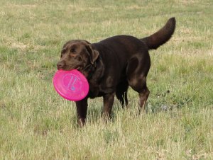 Még játszás közben is ezen járt a fejem