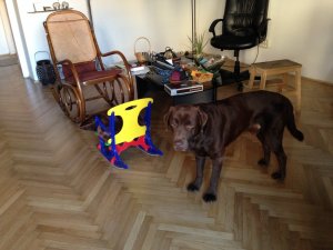 Drazsé lakásfelújítás után