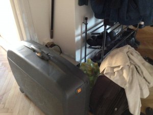 Drazsé hazaköltözik