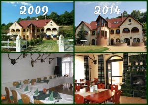 Aranypatkó Lovaspanzió