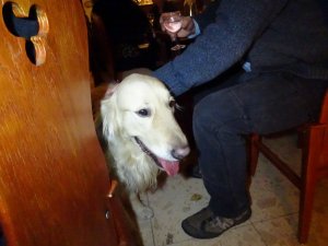 Kókusz nem szereti a durrogást