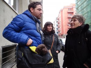 Anya és Sólet gazdijai, no meg egy táska Sólet