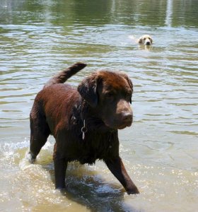 Drazsé-Marinapart 07.05.